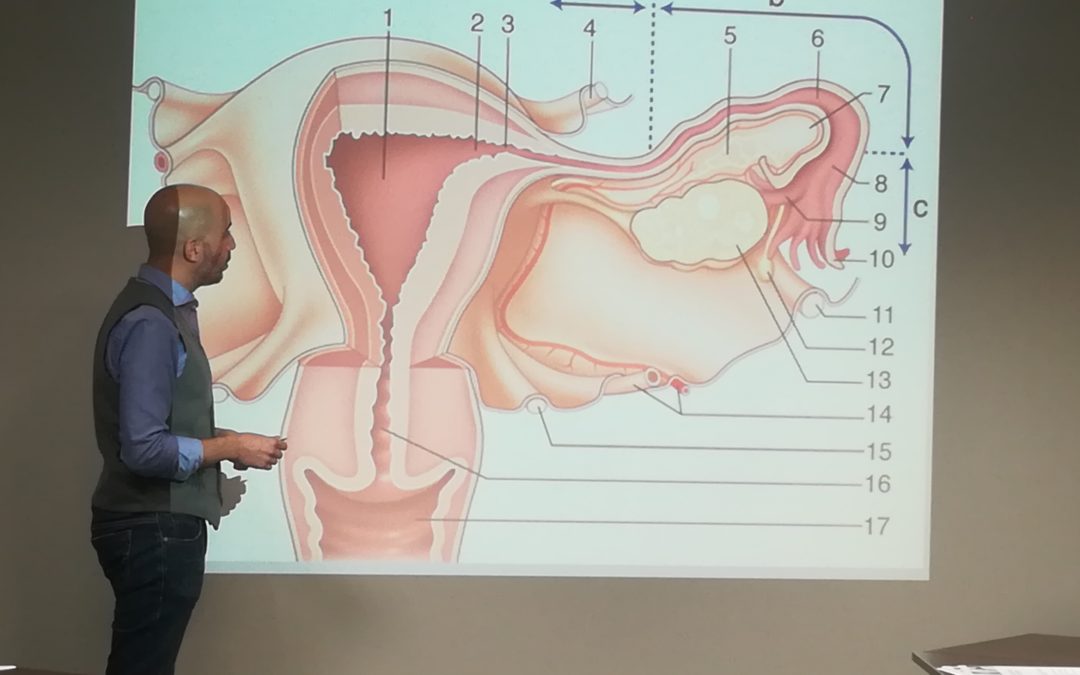 Atelier Endoquiz – Programme Endomaîtrise
