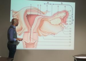 Programme Endomaitrise - Endométriose - Lyon - Atelier - Clinique du Val d'ouest